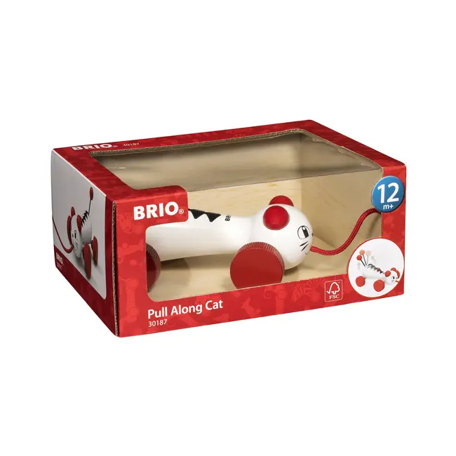 JUCARIE DE TRAS PISICUTA ARTBRIO30187
