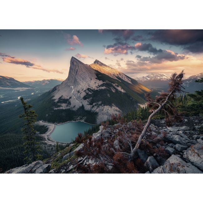 PUZZLE NATURA SALBATICA, 1000 PIESE ARTRVSPA15011