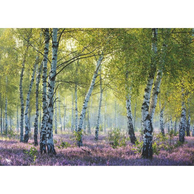PUZZLE PADUREA DE MESTEACAN, 1000 PIESE ARTRVSPA16753