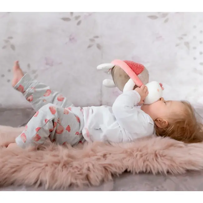 Pernuta anticolici - broscuta testoasa