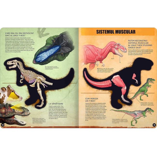T-REX â model 3D Editura Kreativ EK6537 BBJEK6537_Initiala