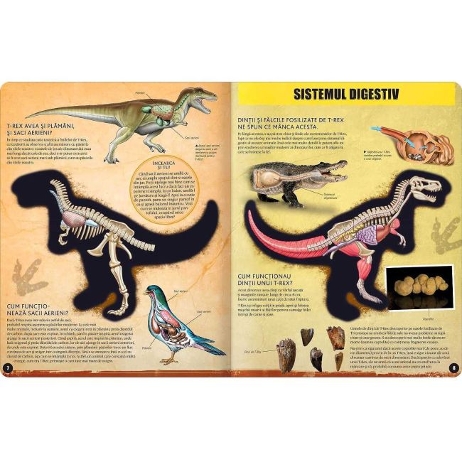 T-REX â model 3D Editura Kreativ EK6537 BBJEK6537_Initiala