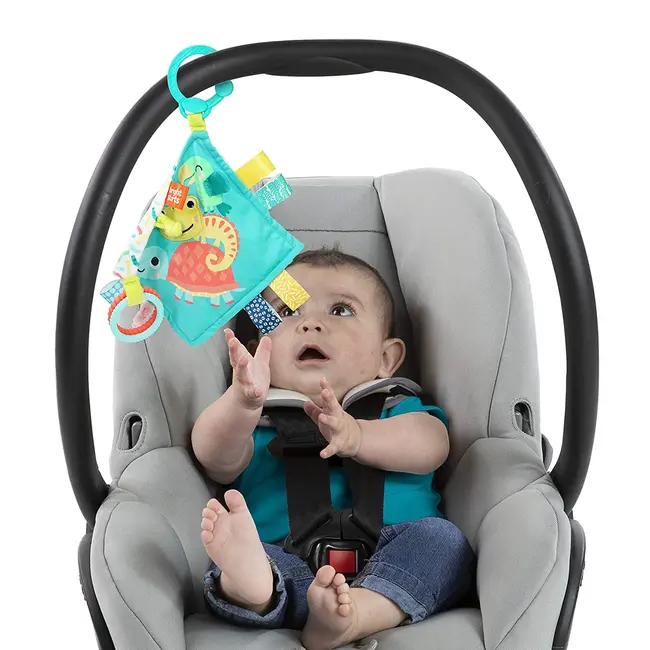 Bright Starts - Jucarie mini paturica cu animalute vesele BBB12619