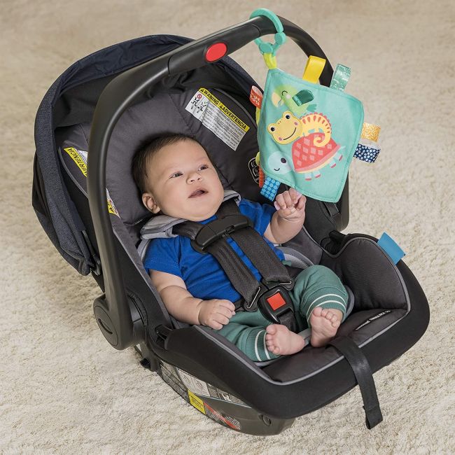 Bright Starts - Jucarie mini paturica cu animalute vesele BBB12619