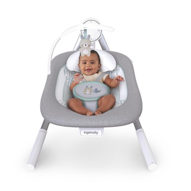 Ingenuity - Leagan portabil AnyWay Sway™, Spruce BBB12058
