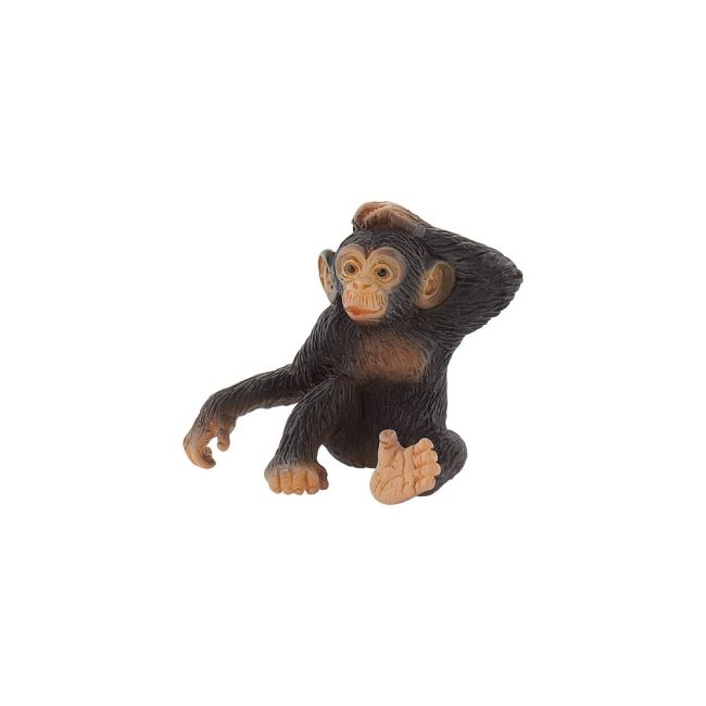 Cimpanzeu bl4007176636862