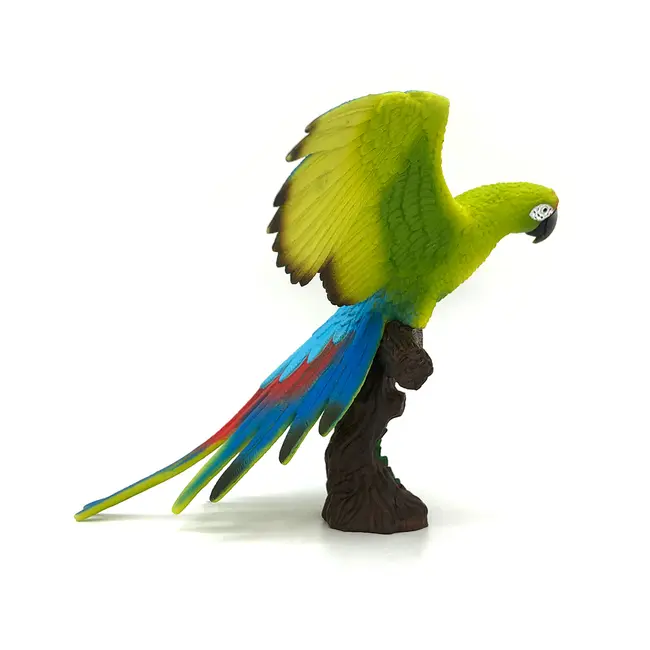 Papagal macaw bl4063847693923