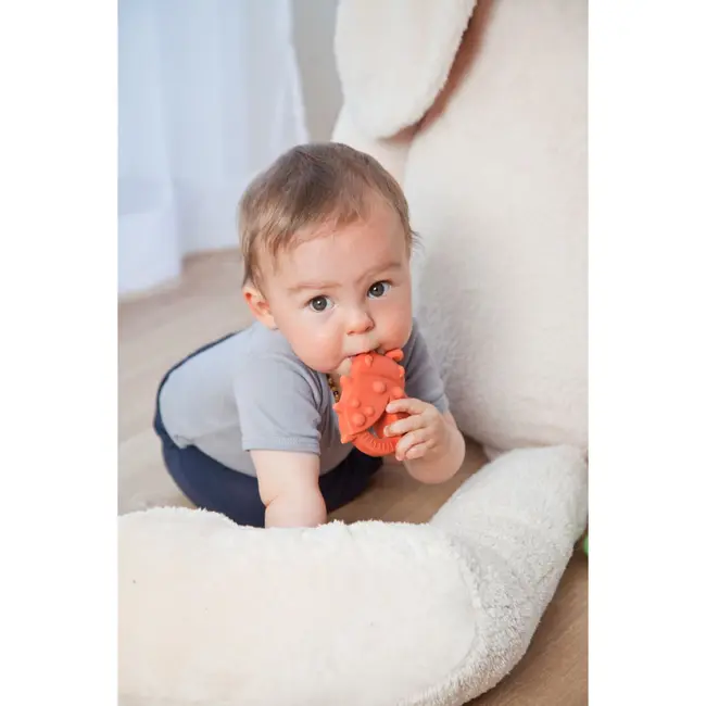 Jucarie organica pentru dentitie, din cauciuc natural, Gargarita, Grunspecht 681-00