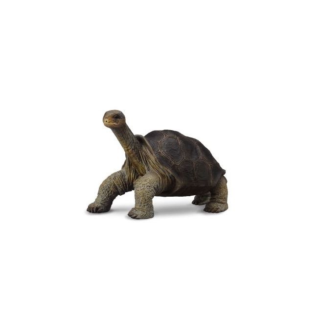 Figurina broasca testoasa din pinta island m collecta - okecol88619m