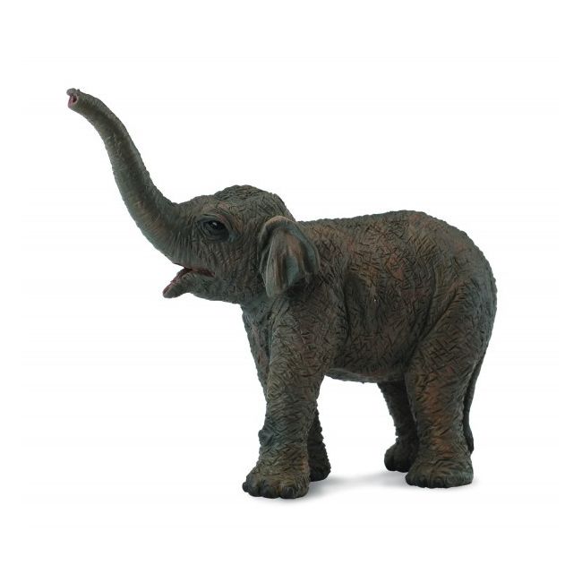 Figurina pui de elefant asiatic s collecta - okecol88487s
