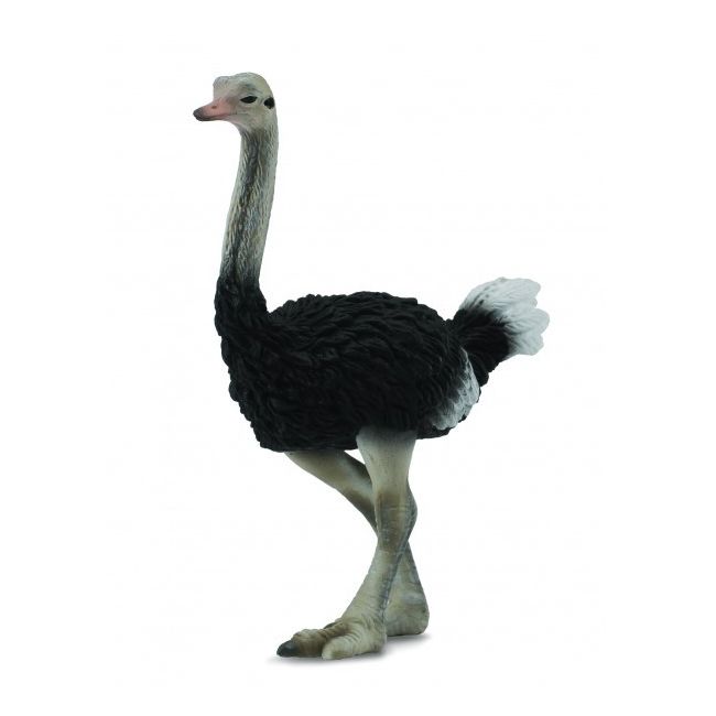 Figurina strut l collecta - okecol88459l