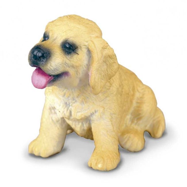 Golden retriever pui s collecta  - okecol88117s