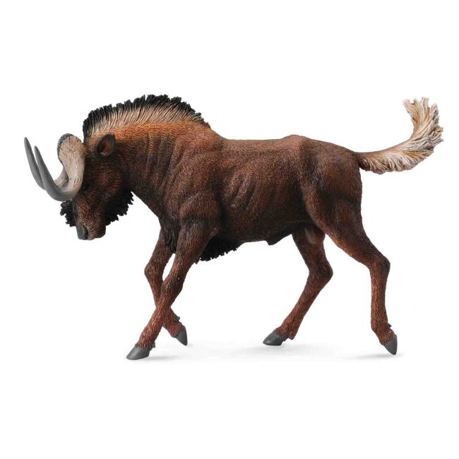 Antilopa gnu neagra collecta - okecol88542l