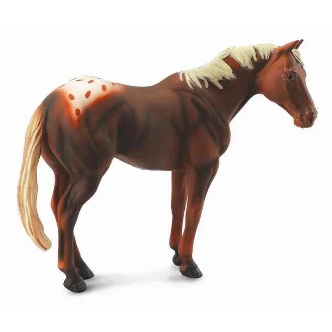 Armasar castaniu - collecta - okecol88436xl