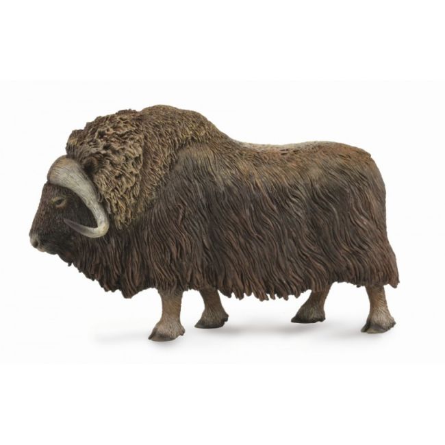 Bivol - collecta - okecol88837l
