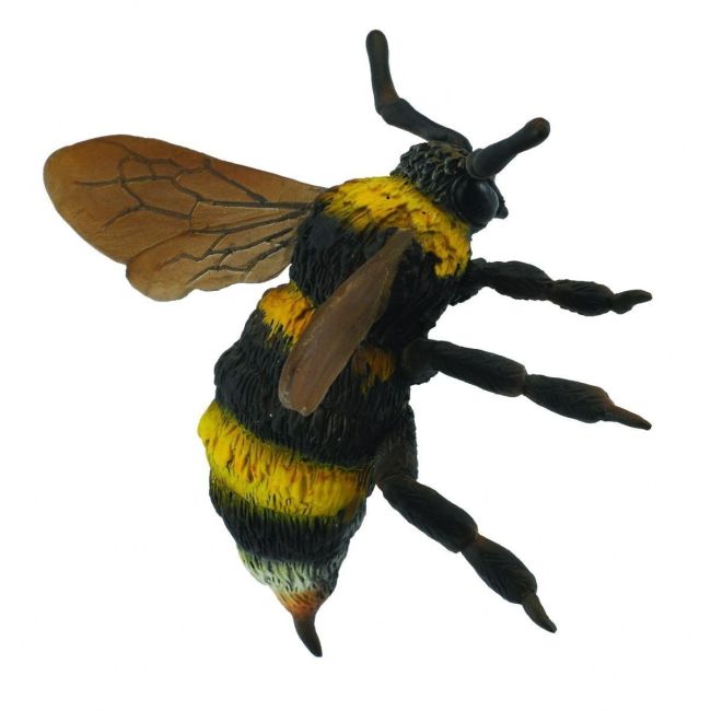 Bondar - collecta - okecol88499l