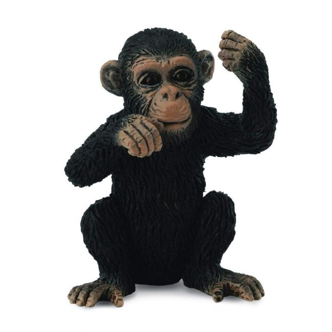 Cimpanzeu pui - collecta - okecol88495s