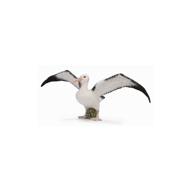 Figurina albatros ratacitor l collecta - okecol88765l