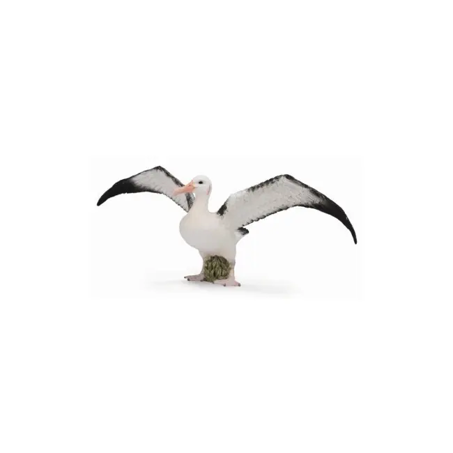 Figurina albatros ratacitor l collecta - okecol88765l