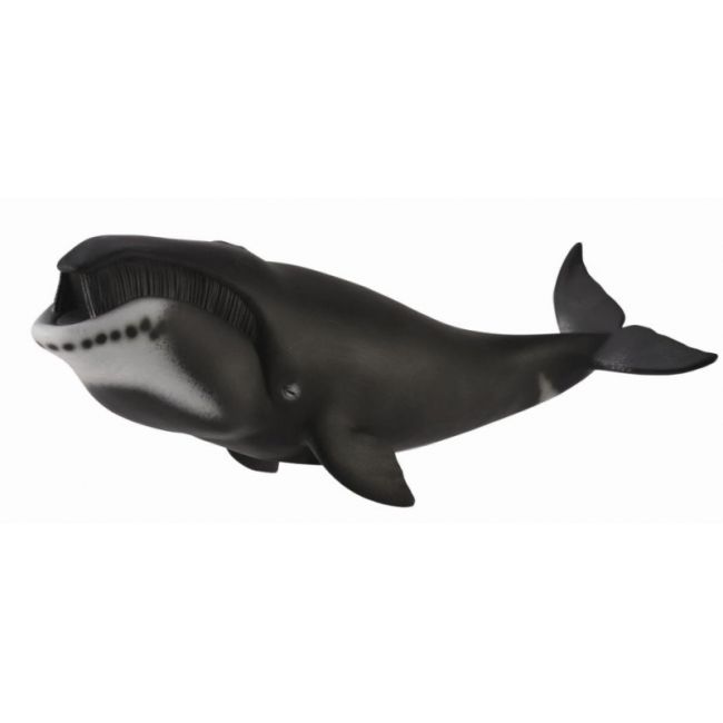 Figurina balena bowhead xl collecta - okecol88652xl