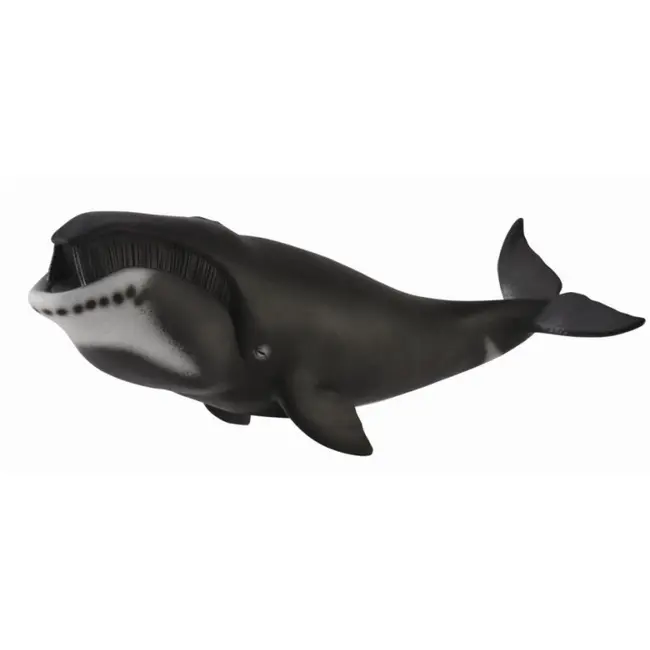 Figurina balena bowhead xl collecta - okecol88652xl