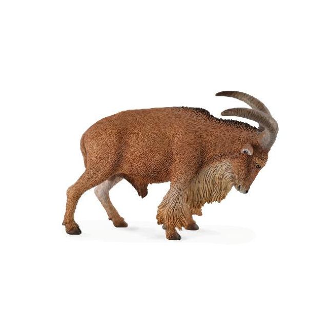 Figurina berbec barbary l collecta - okecol88683l