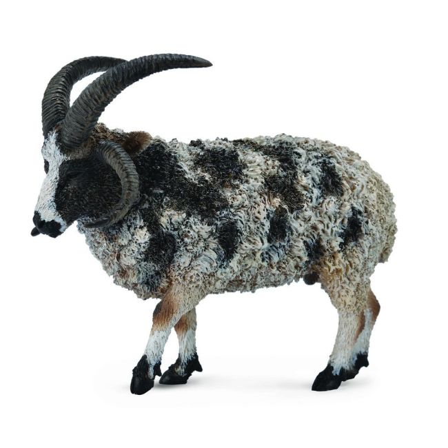 Figurina jacob sheep l collecta - okecol88728l