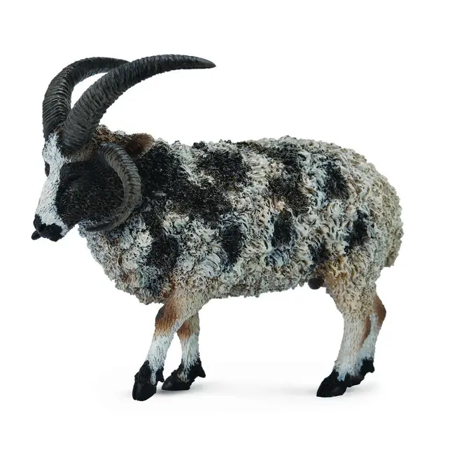 Figurina jacob sheep l collecta - okecol88728l
