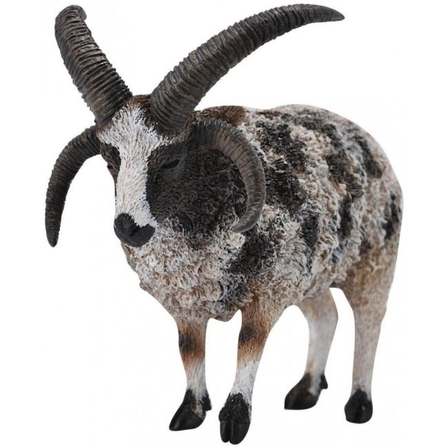 Figurina jacob sheep l collecta - okecol88728l