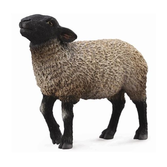 Figurina oaie suffolk m collecta - okecol88636m