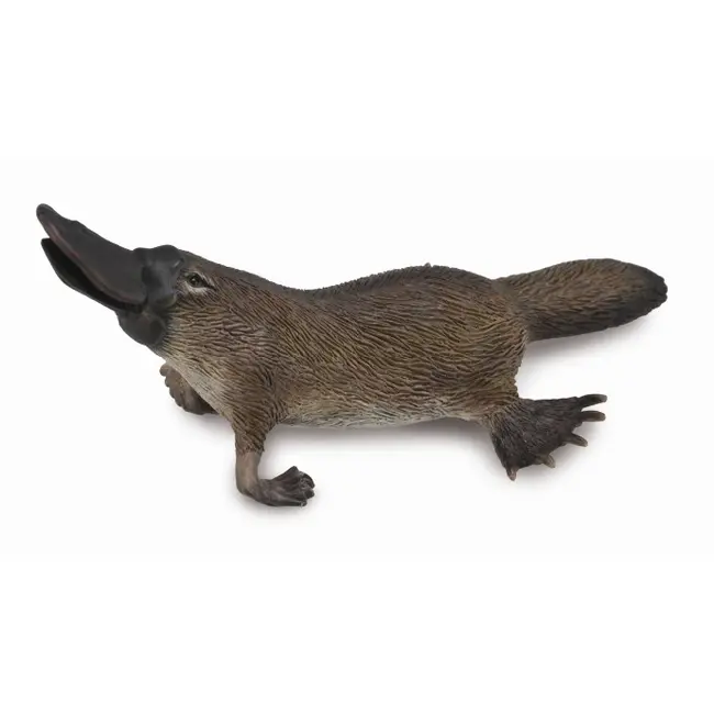 Figurina platypus m collecta - okecol88795m