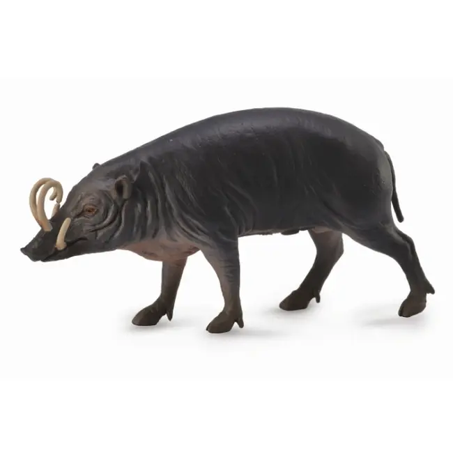 Figurina porc sulawesi babirusa l collecta - okecol88727l