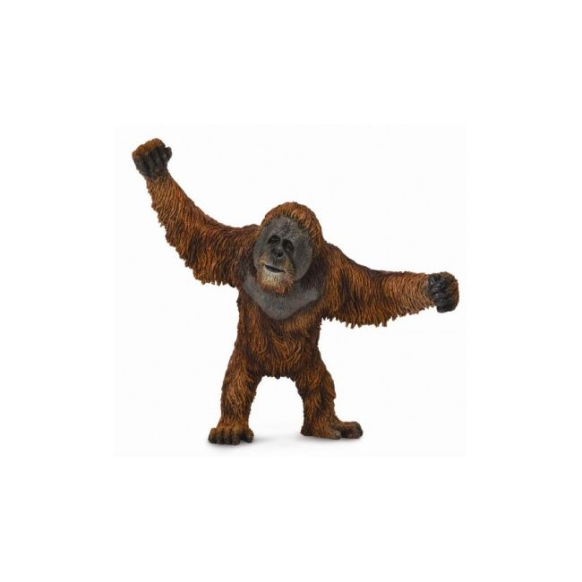 Figurina urangutan l collecta - okecol88730l