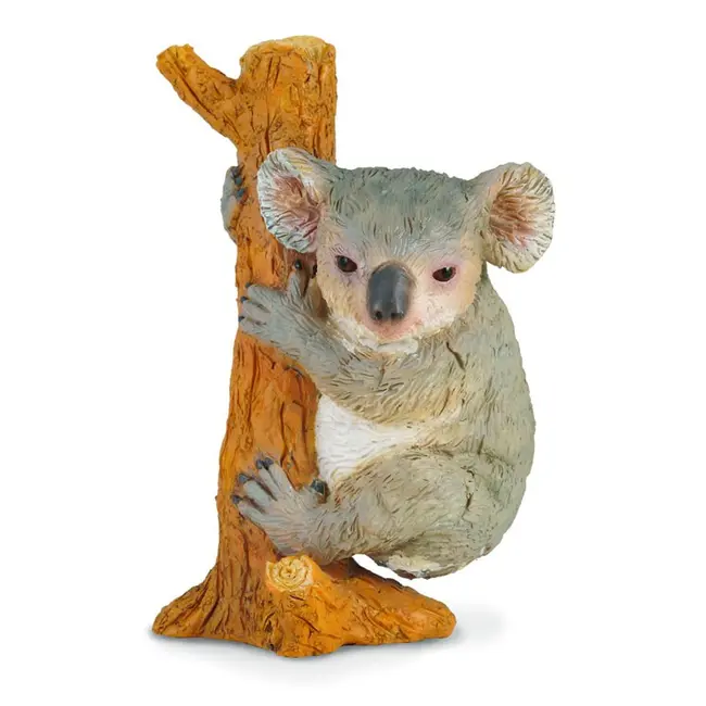 Koala - collecta - okecol88356m