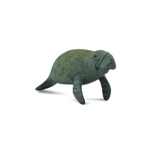 Lamantinul - collecta - okecol88455l