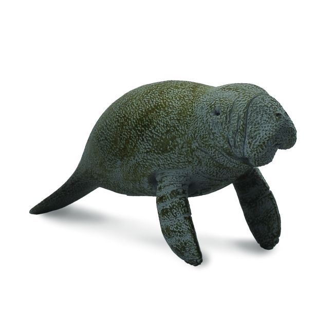 Lamantinul pui - collecta - okecol88456m