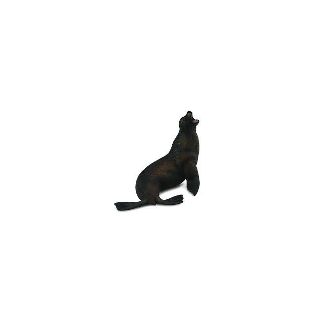 Leu de mare- collecta - okecol88454l