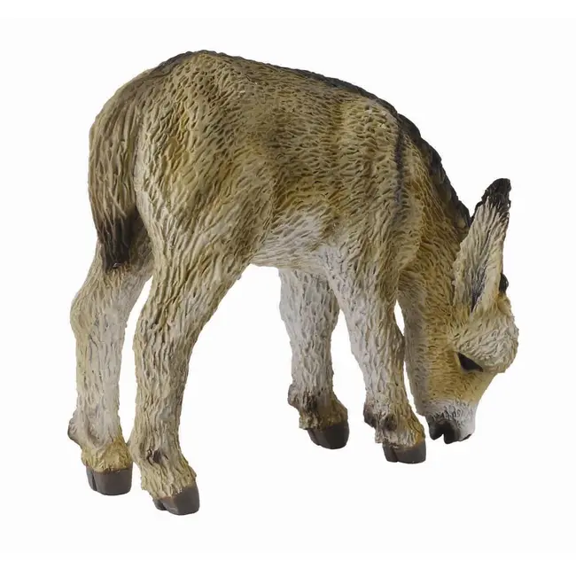 Manz la pascut - collecta - okecol88408s