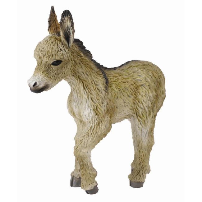 Manz mergand - collecta - okecol88409s
