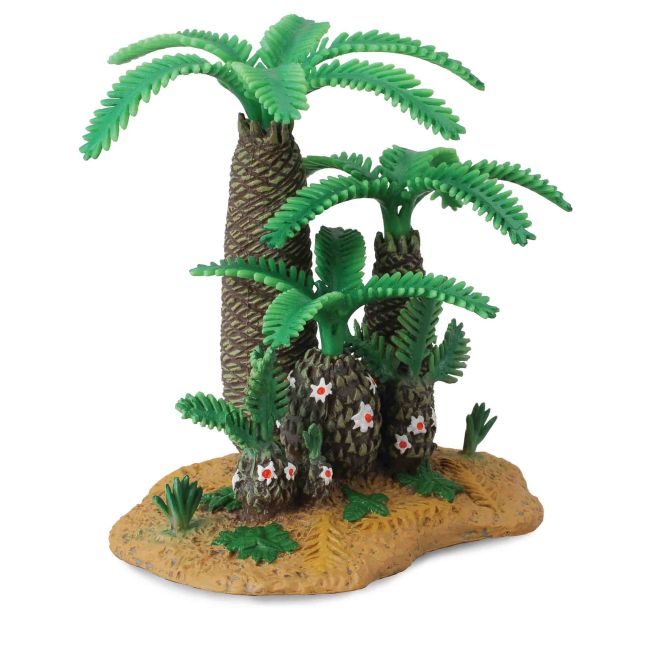 Plantele monanthesia si cycadeoidea - collecta - okecol89403cb