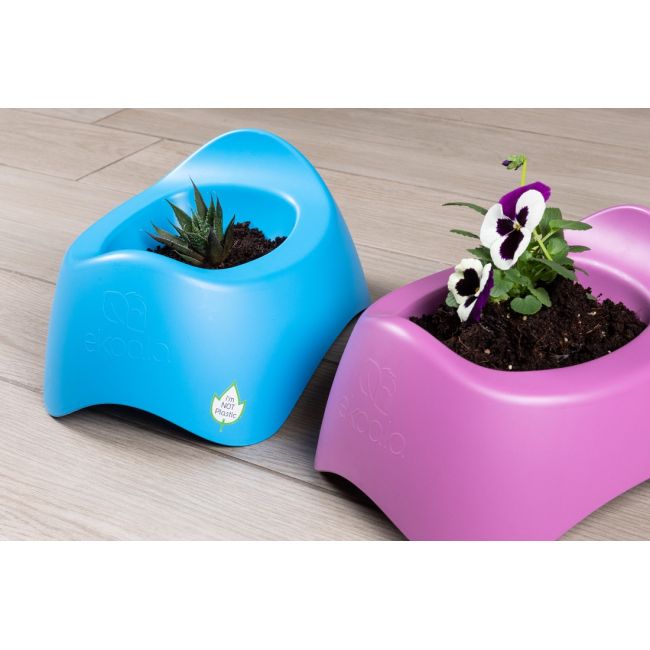 Olita eKoala, BIOplastic, Purple KRTEK064