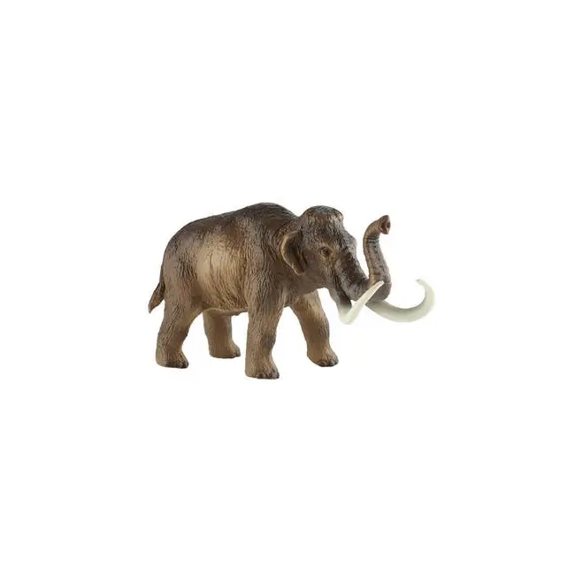 Mamut - BL4007176583555