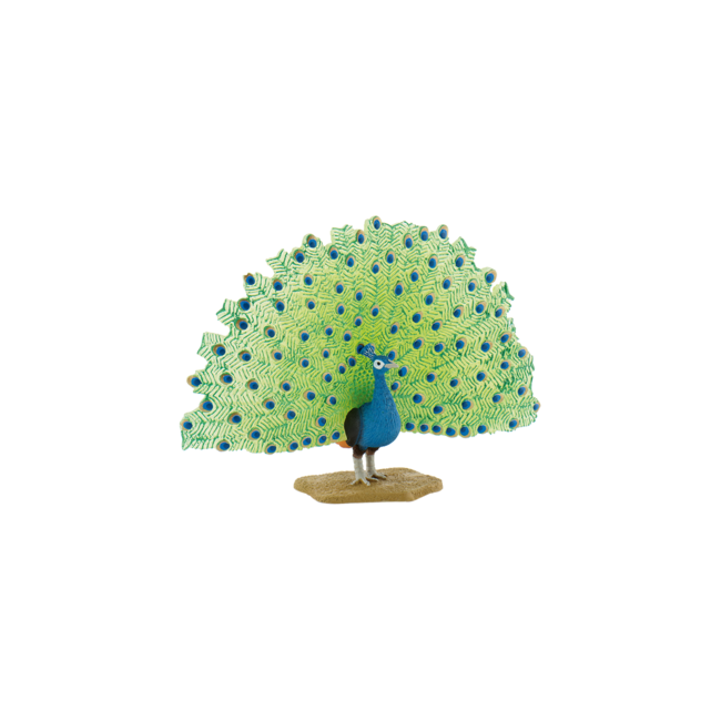 Paun - BL4007176693902