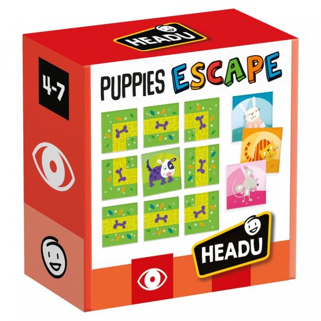 Headu Teacher Tested - Puzzle Ajuta Catelul Sa Evadeze Din Labirint ARTHE51296
