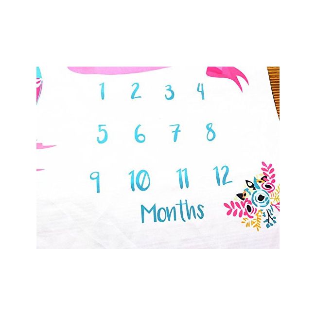 Suport textil tip Milestone subtire pentru fotografii memorabile Balon DLLdrl12sf