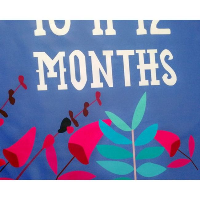 Suport Textil Milestone subtire pentru fotografii memorabile Fluture mov DLLdrl12sb