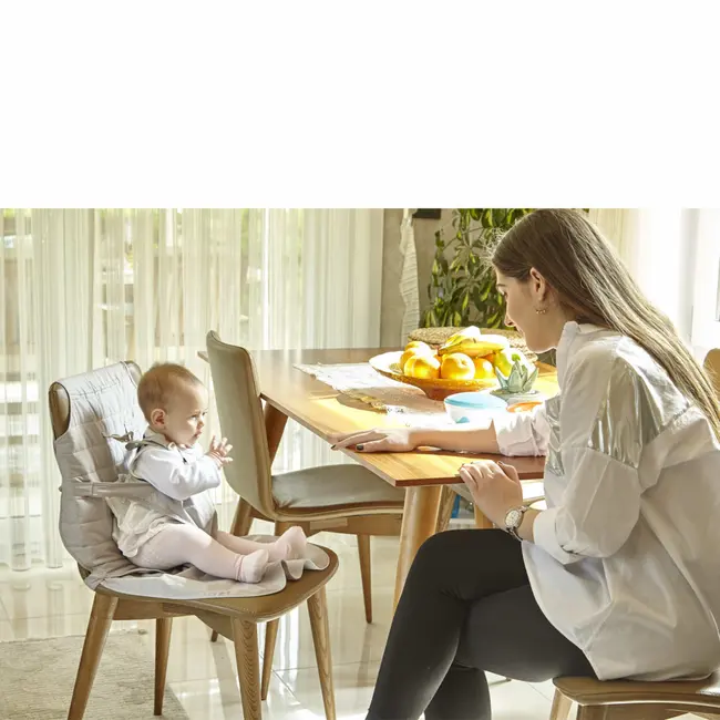 Ham pentru scaun de masa BabyJem JEMbj_553