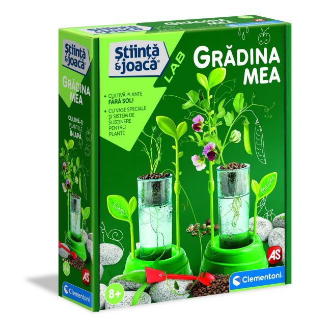 GRADINA MEA VIV1026-50356
