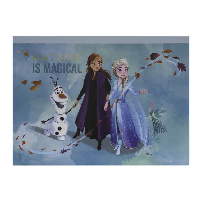SET DESEN GENTUTA DE CREATIE FROZEN VIV1023-68001