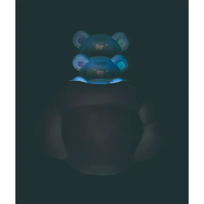 HAPE TEDDY PRIETENUL DE DUS VIVHapeE0202